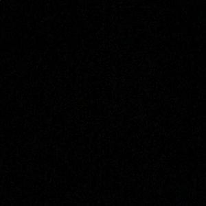 Meet your Posher, Elijah